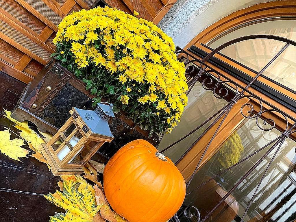 Beautiful Cracow By Cozyplace Appartement *