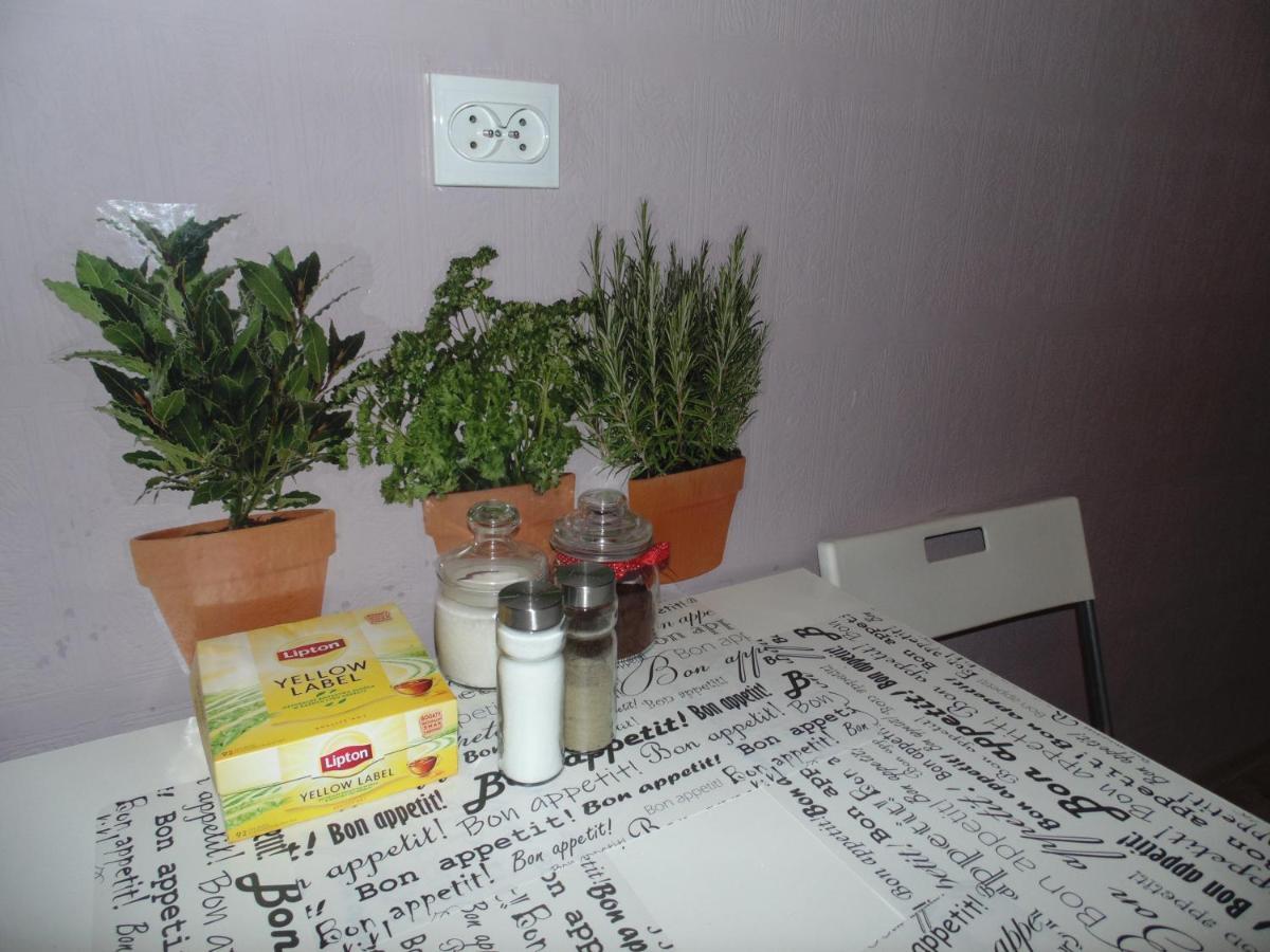 Hostel Motion Albergue *