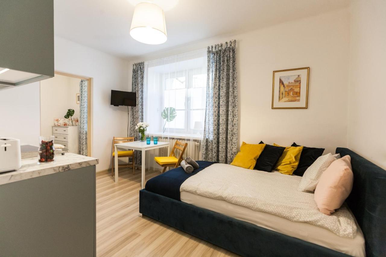 Apartament Vintage Krasińskiego 7/4 *