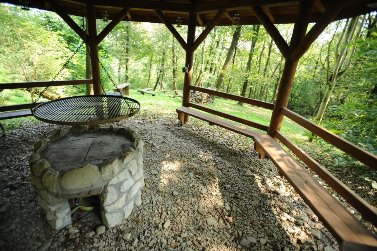 Casa de hóspedes Ekosamotnia 4*