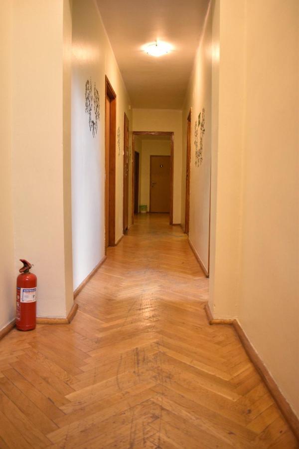Green Hostel *