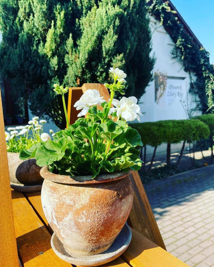 Hotel Dworek Złoty Róg I Restauracja