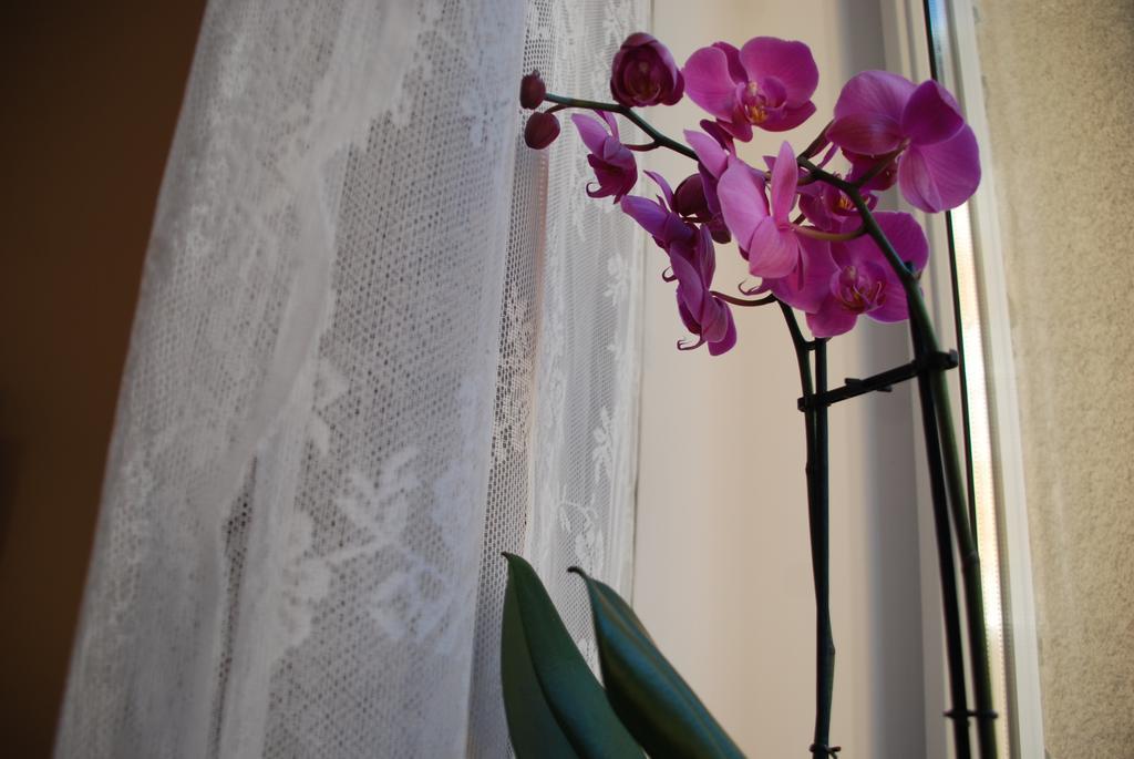 Aparthotel K22 Bonerowska 8 Aparthotel Krakow