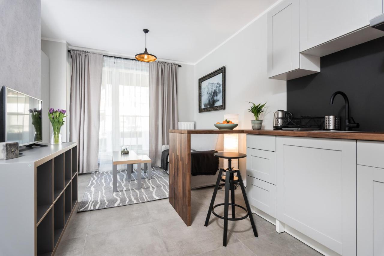 Apartament Slusarska 1