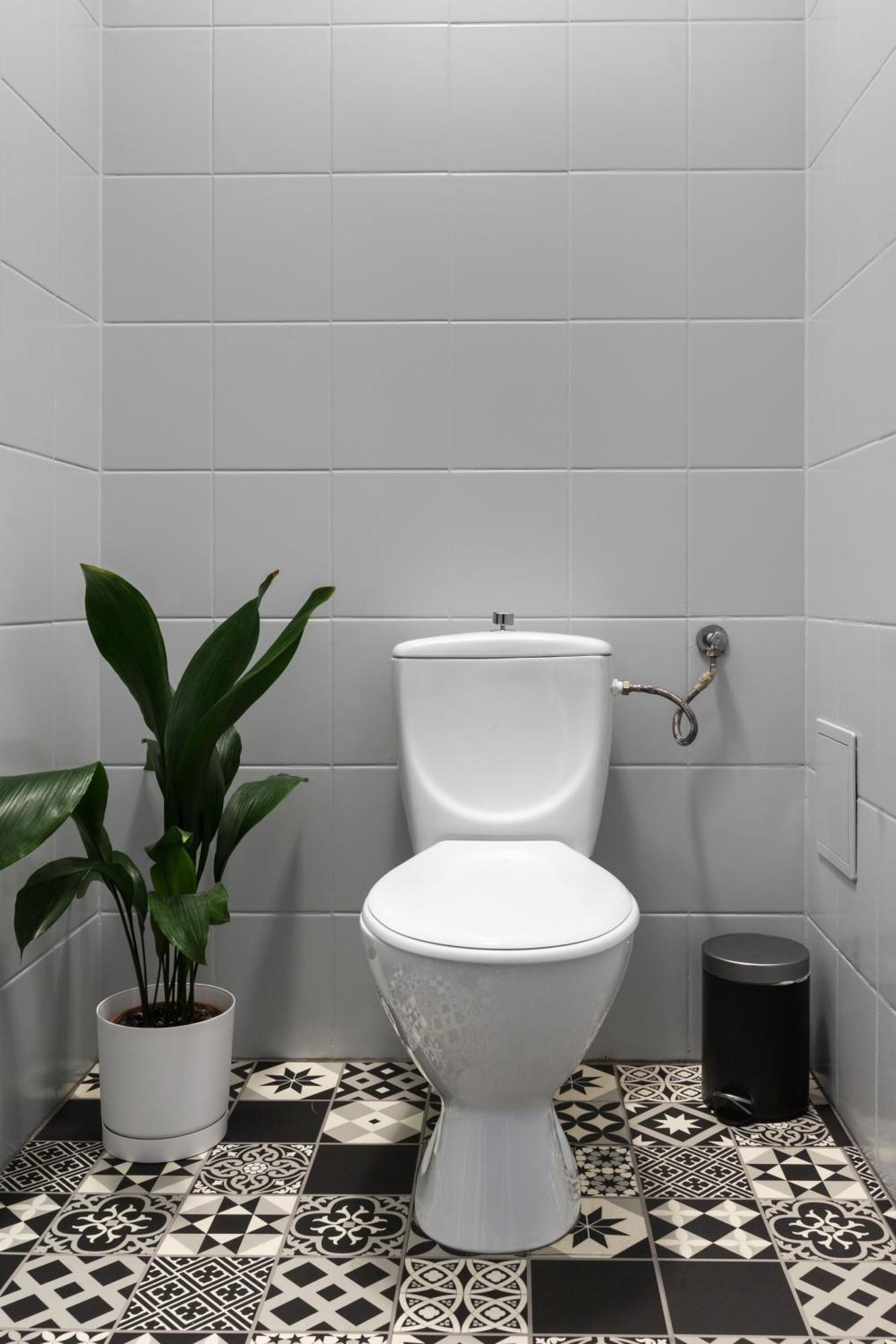 Friendhouse Avenue Apartment *