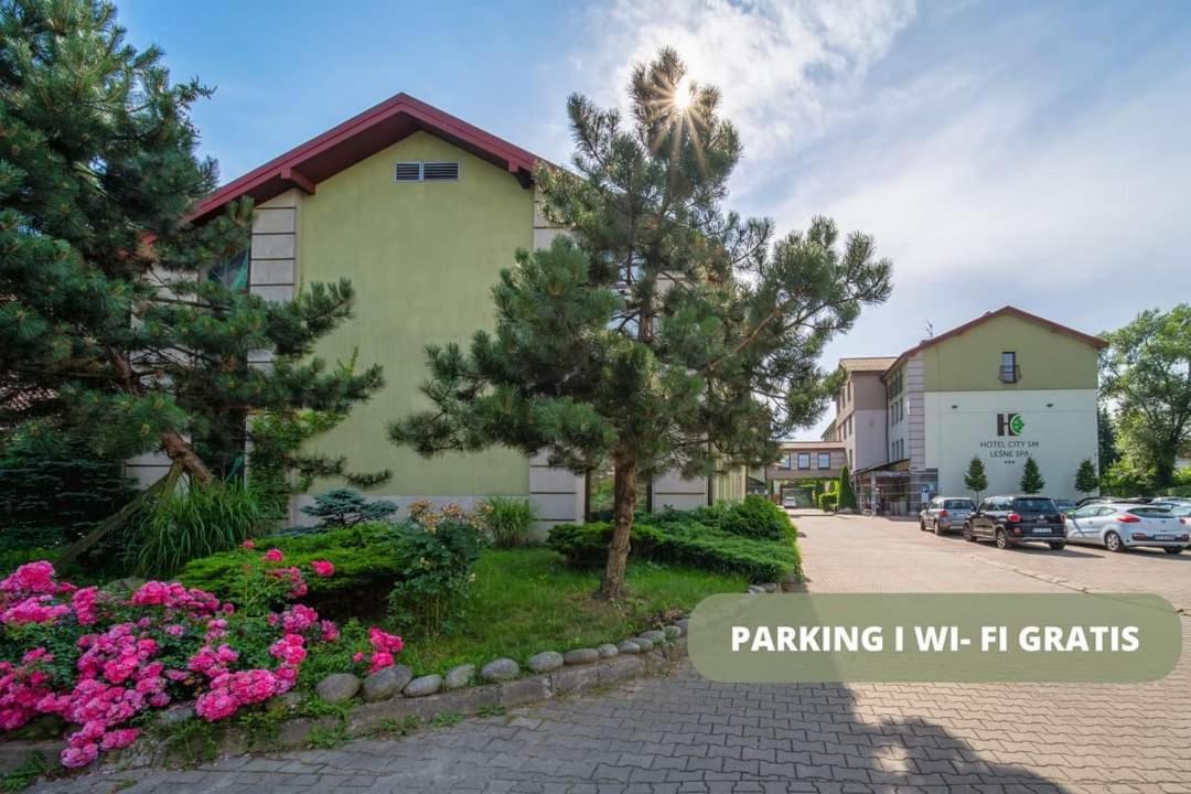 Hotel Sm Business &