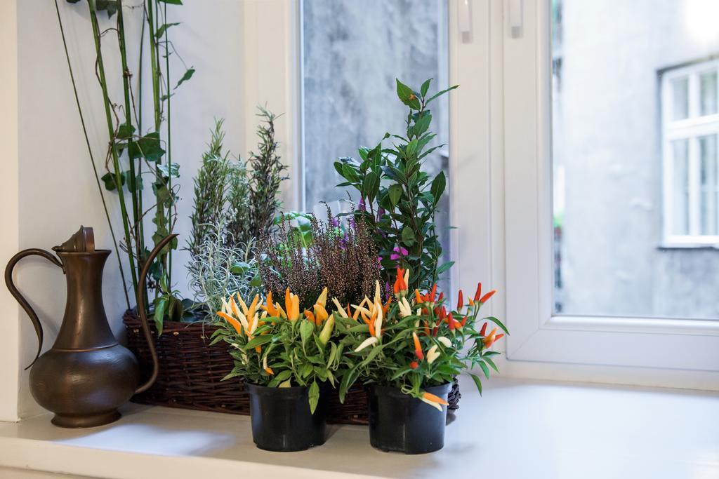 Art & Jungle Apartment Krakow