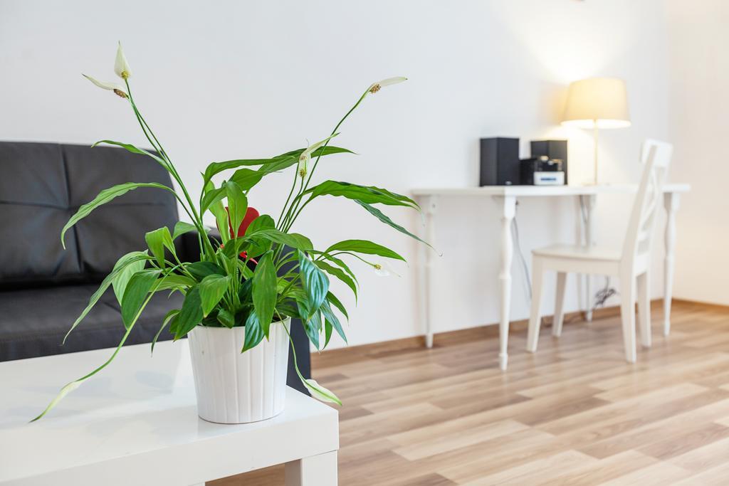 Aparthotel K22 Bonerowska 8 3*