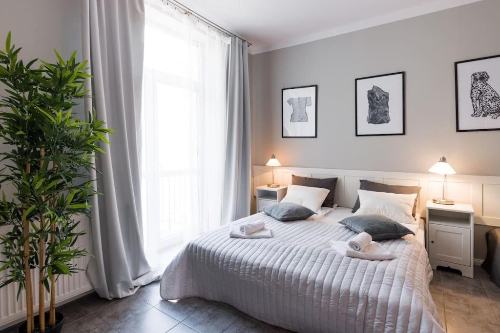Florianska Deluxe With Air Condition Apartament