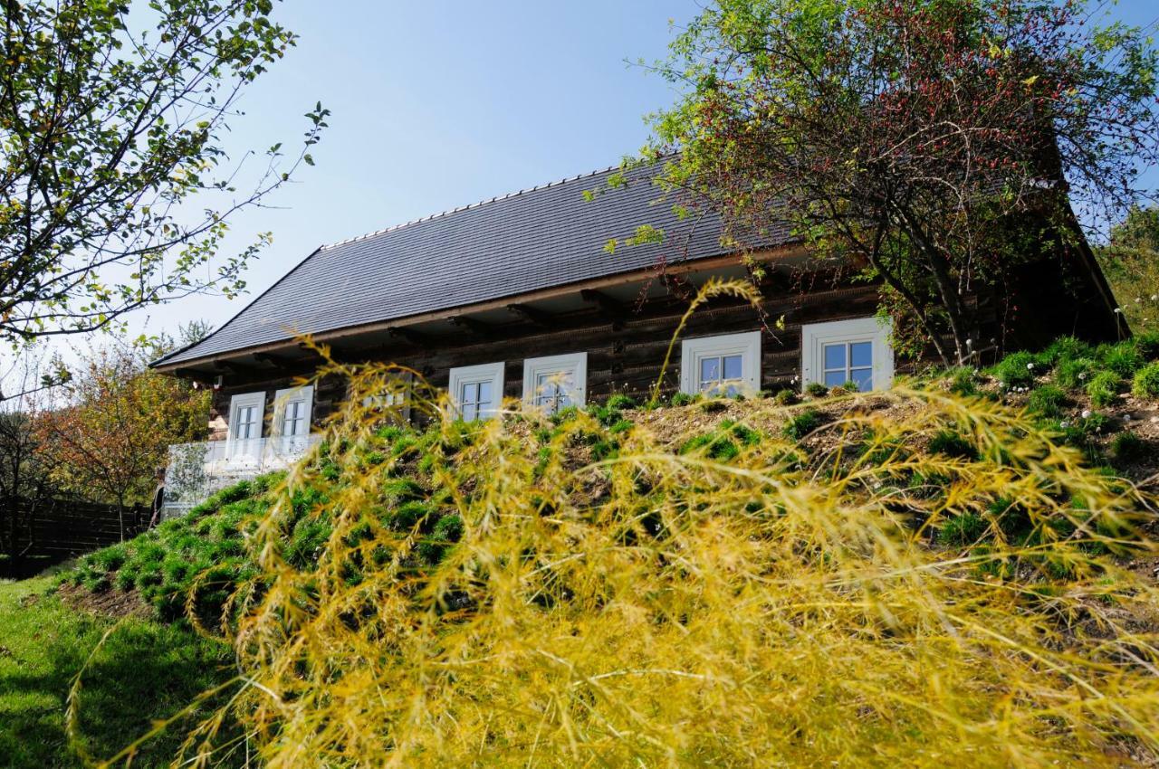 Kacza - Z Jacuzzi Villa Krakow