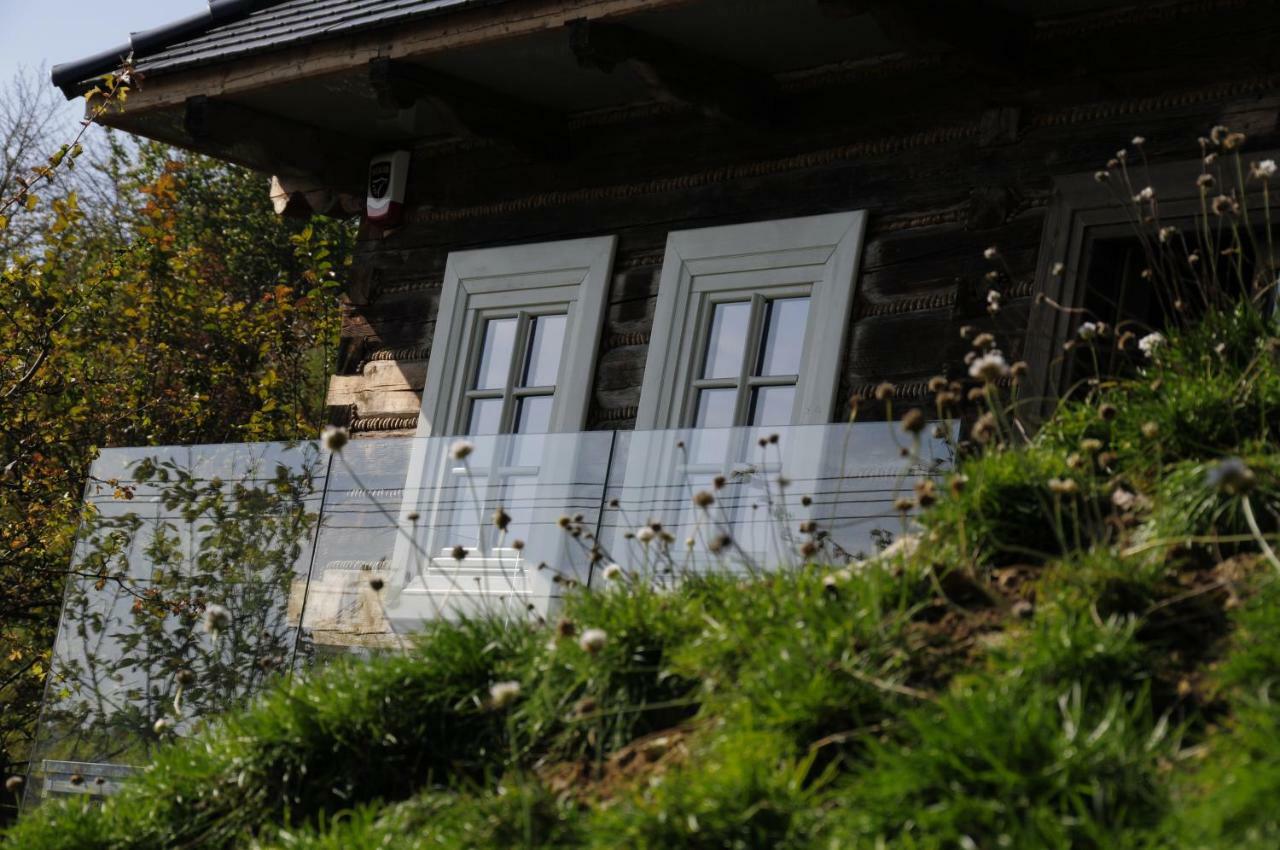 Villa Kacza - Z Jacuzzi Krakow