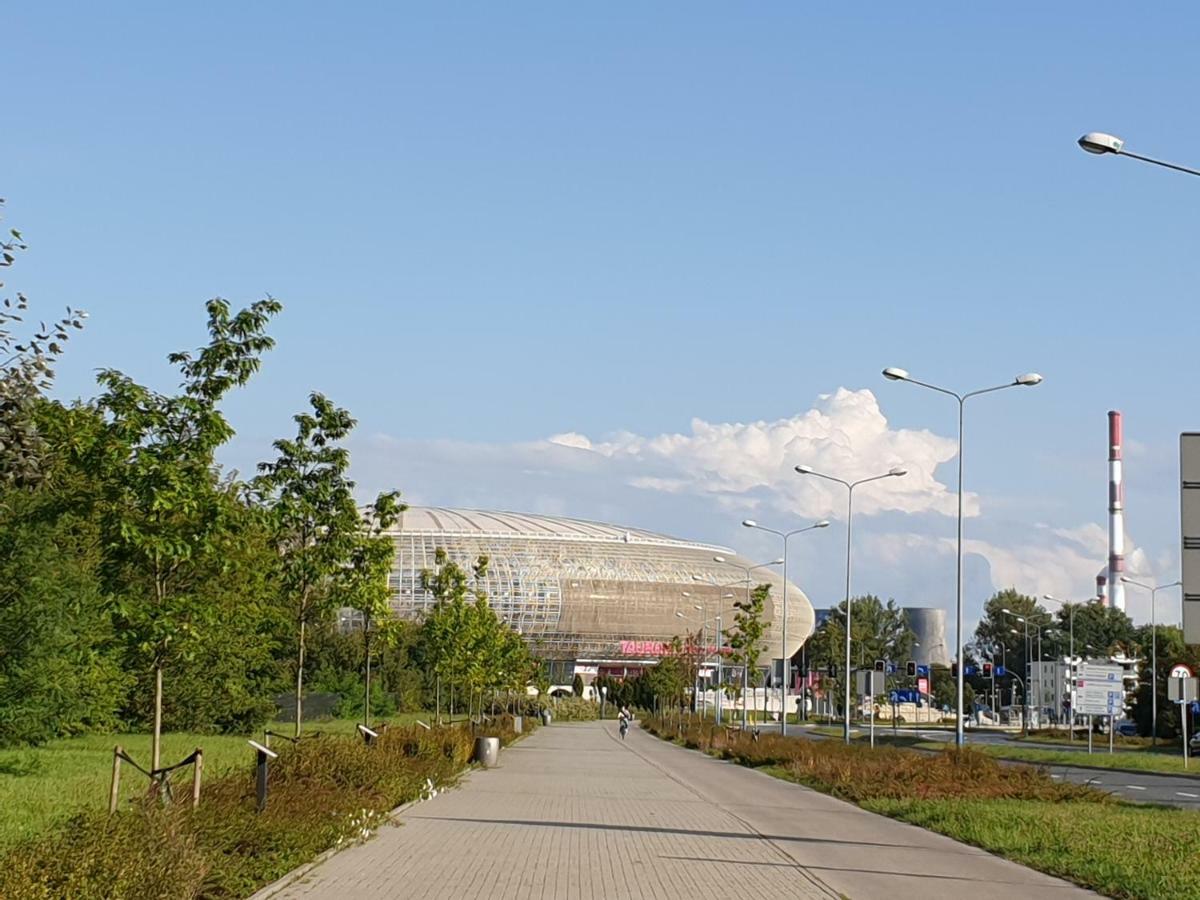 Ap4you Tauron Cracow