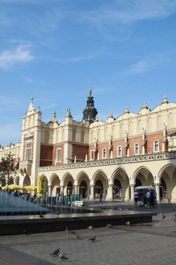 Ap4you Tauron Cracow *