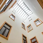 Superb Wawel Apartment, Best Location In Town 26M2 P1