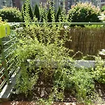 Apartament Zielony Taras