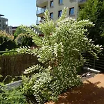 Apartament Zielony Taras