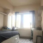 Przytulny pokój w centrum Krakowa
