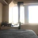 Przytulny pokój w centrum Krakowa