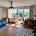 Room In An Apartment
