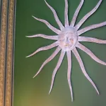 Finger Guest Rooms