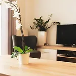 Przy Mocaku II