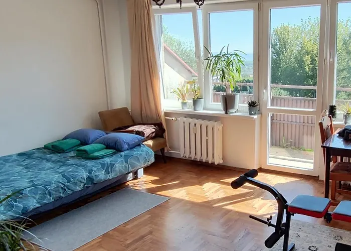 Room In An Apartment