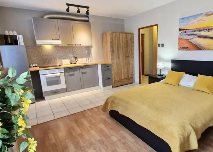 Cozy Modern Apartment Sunrise Studio 35M2 Balcony 3 Persons