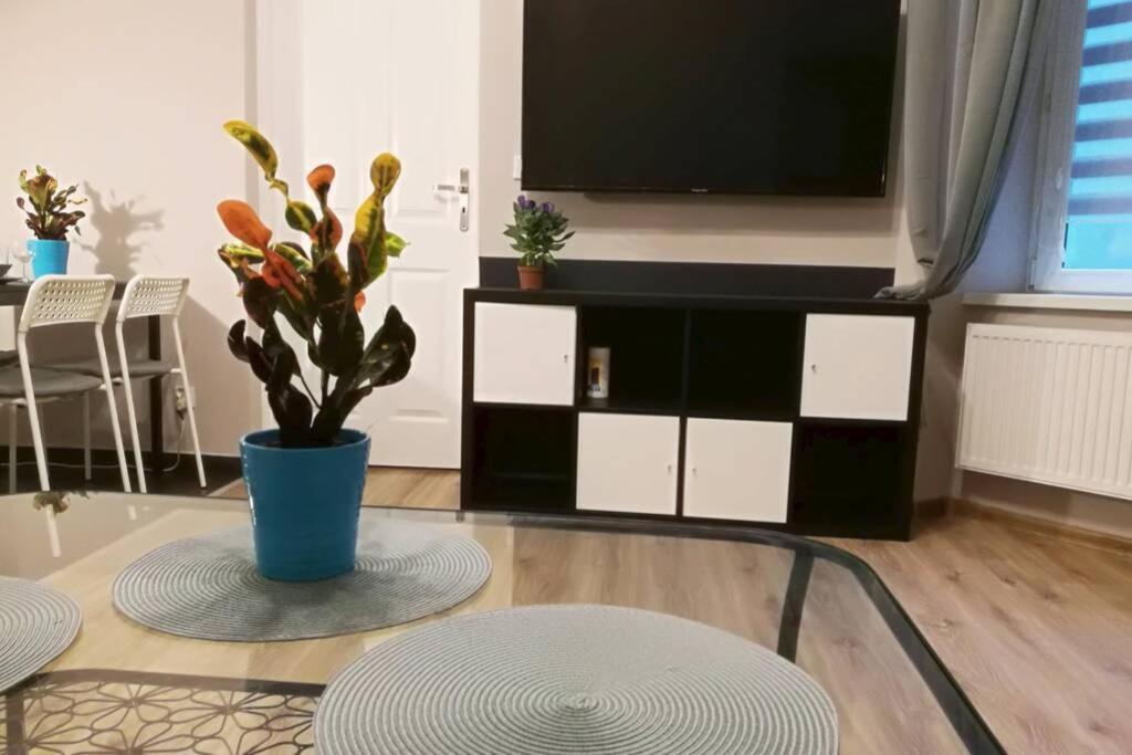 Apartamento Sophus Respite. Samo Centrum Krakowa *