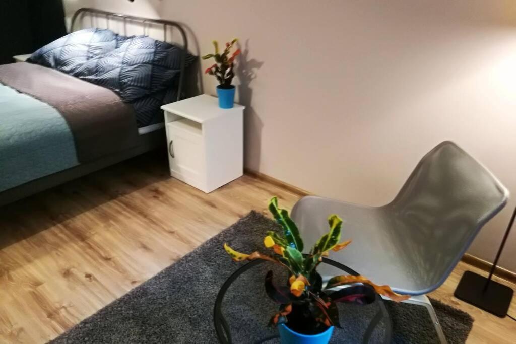 Sophus Respite. Samo Centrum Krakowa Cracóvia