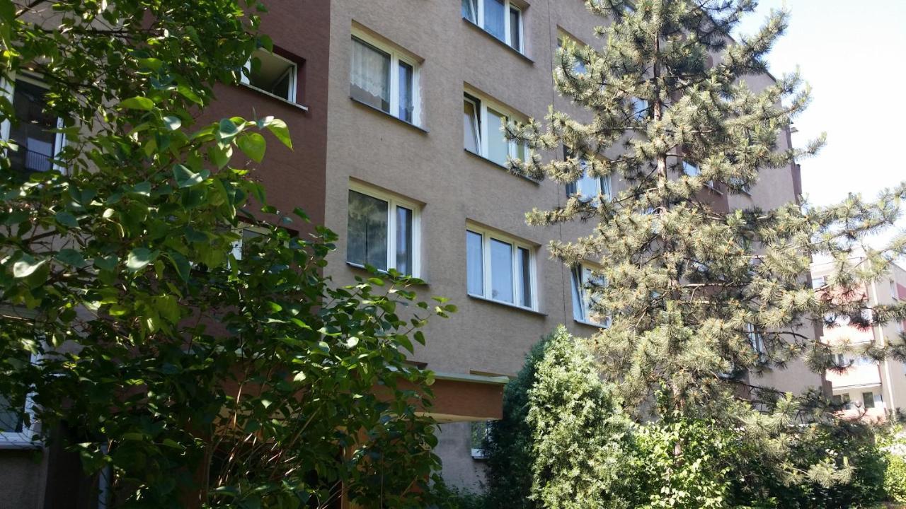 Goscinne Krakau