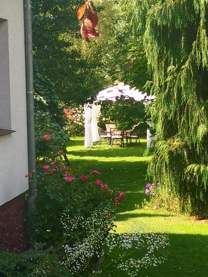 Family Garden & Sauna *