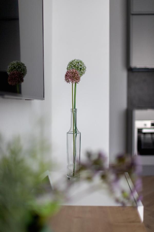 Apartment Steam Park Old Town Cracow By Renters