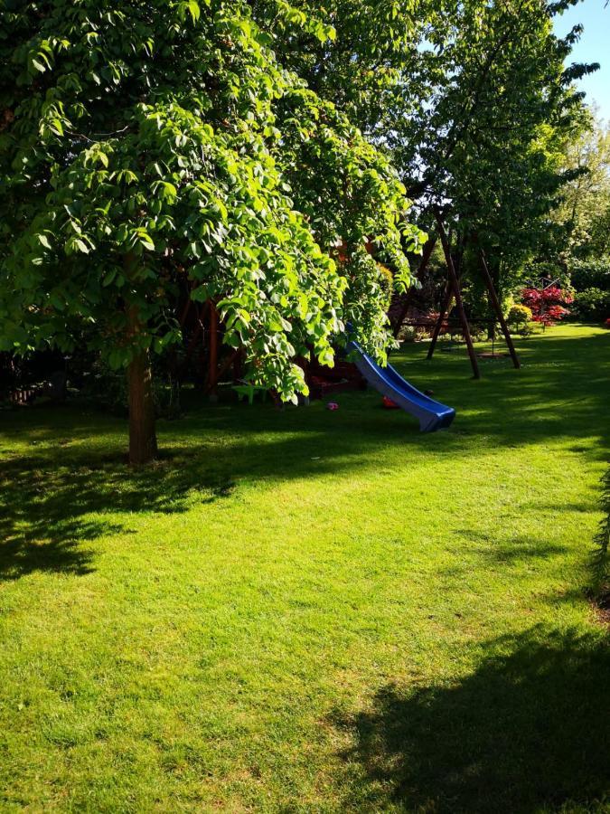 Family Garden & Sauna *