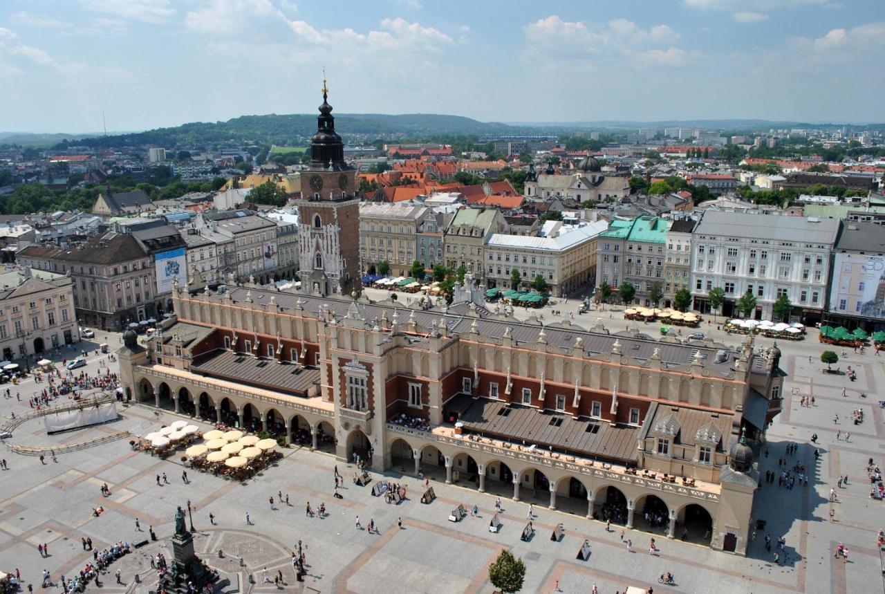 Dominique Krakow