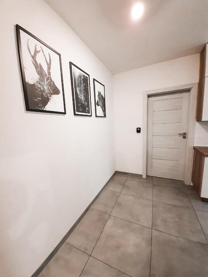 Apartament Arena No. 91 Homestay Krakow