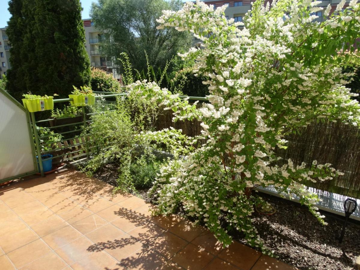 Apartament Zielony Taras Apartment