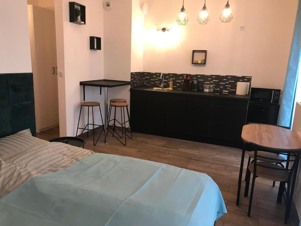 Steam Park Rakowicka Koper Apartament Kraków