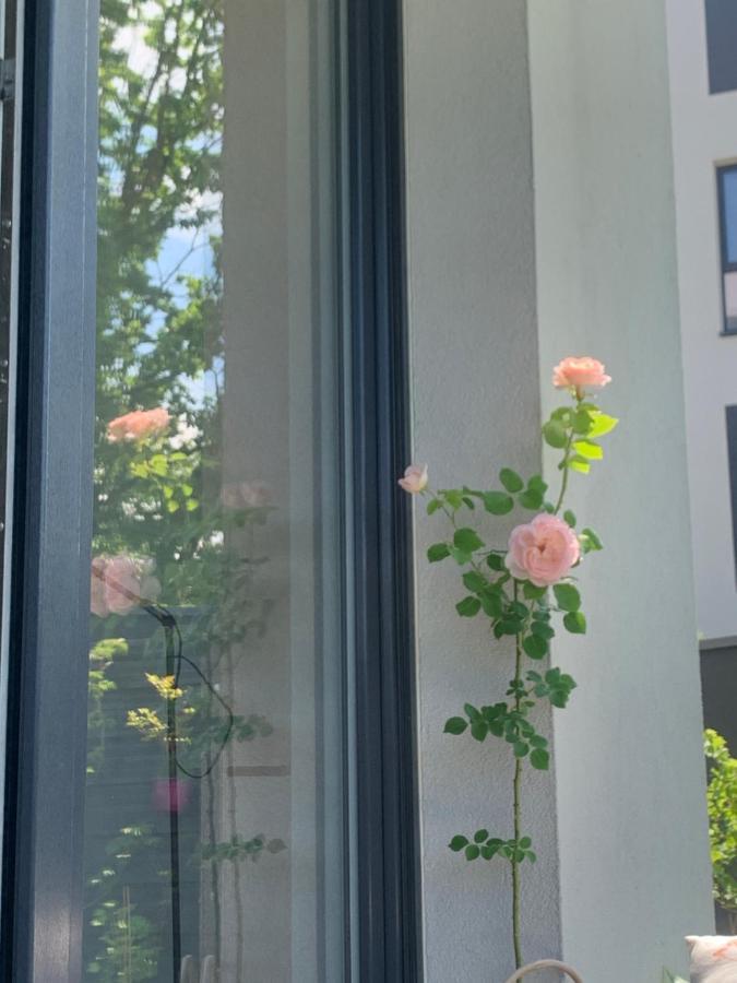Garden Self Check-in - Bezkluczowy Dostep W 10 Minut O Kazdej Porze Apartament *