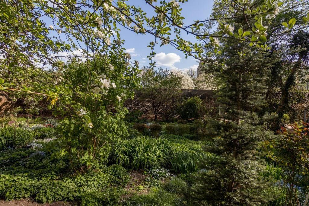 Studio With Garden - Wawel Neighborhood *