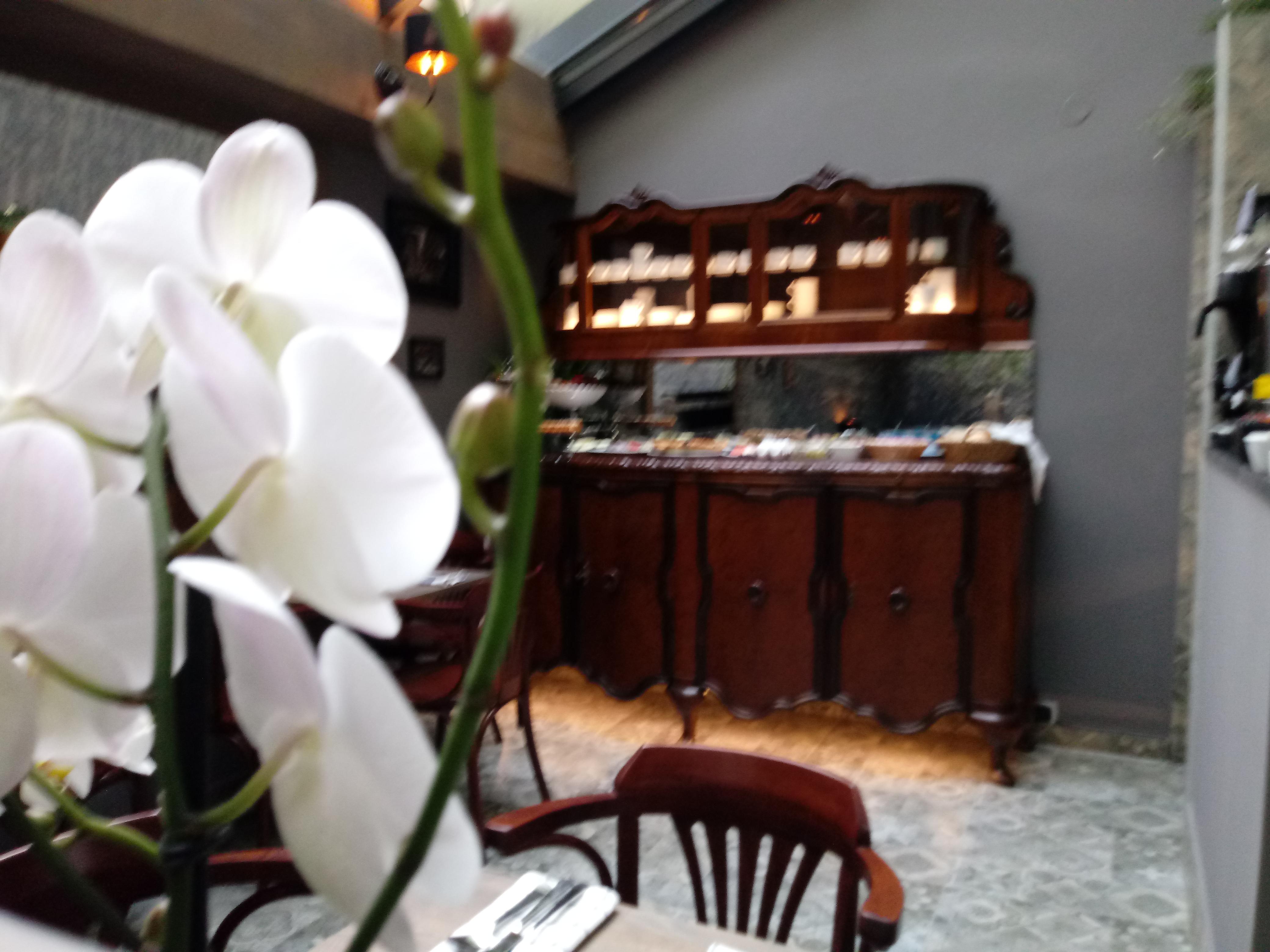 Shalom Kazimierz Hotel apartamentowy