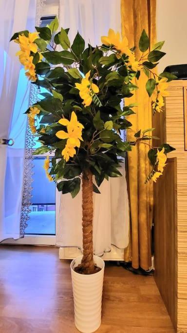 Cozy Modern Sunrise 35m2 Balcony 3 Persons Apartment