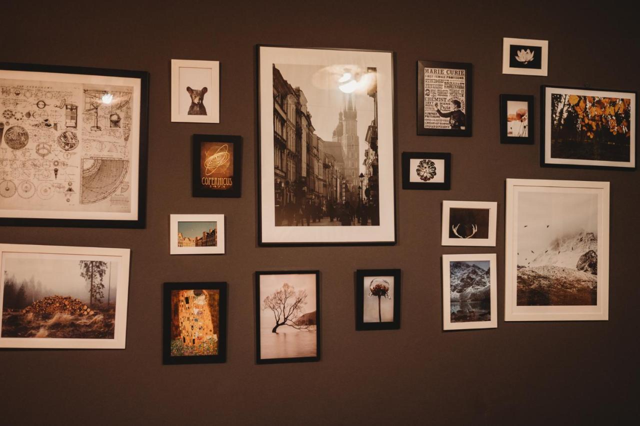Apartament Fatcat *