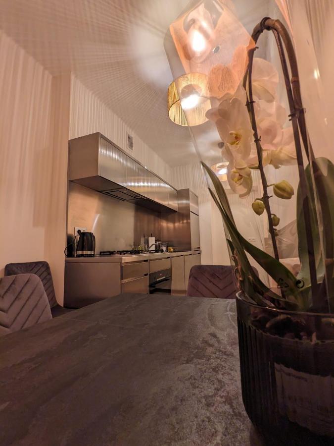 Spacious Two-bedroom In The Center Apartment Krakow