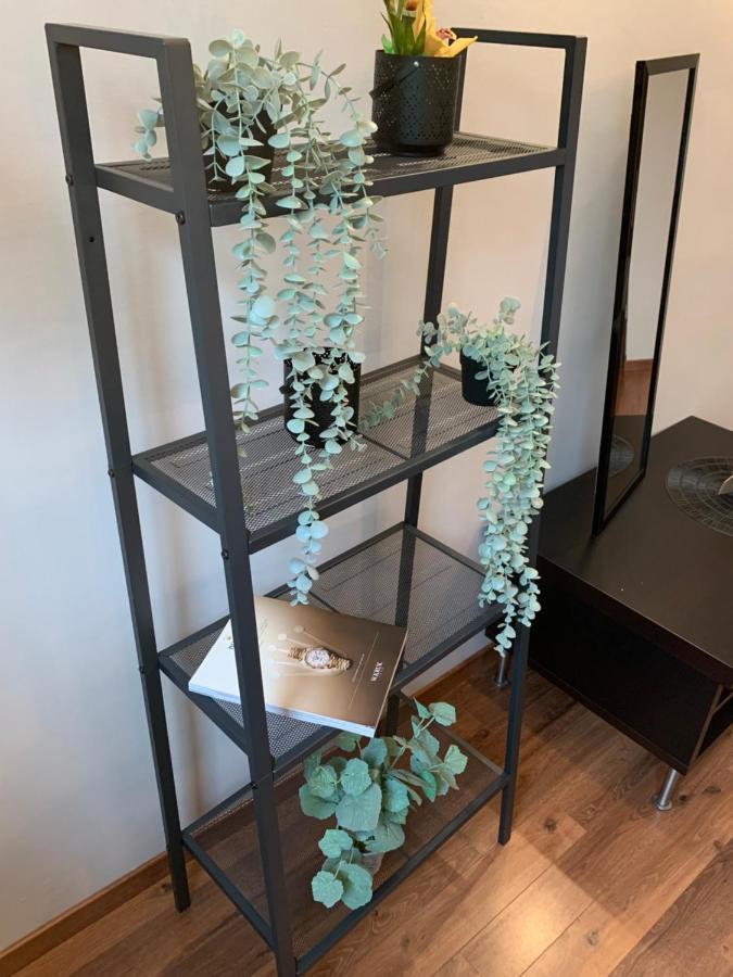 Apartamento Royal