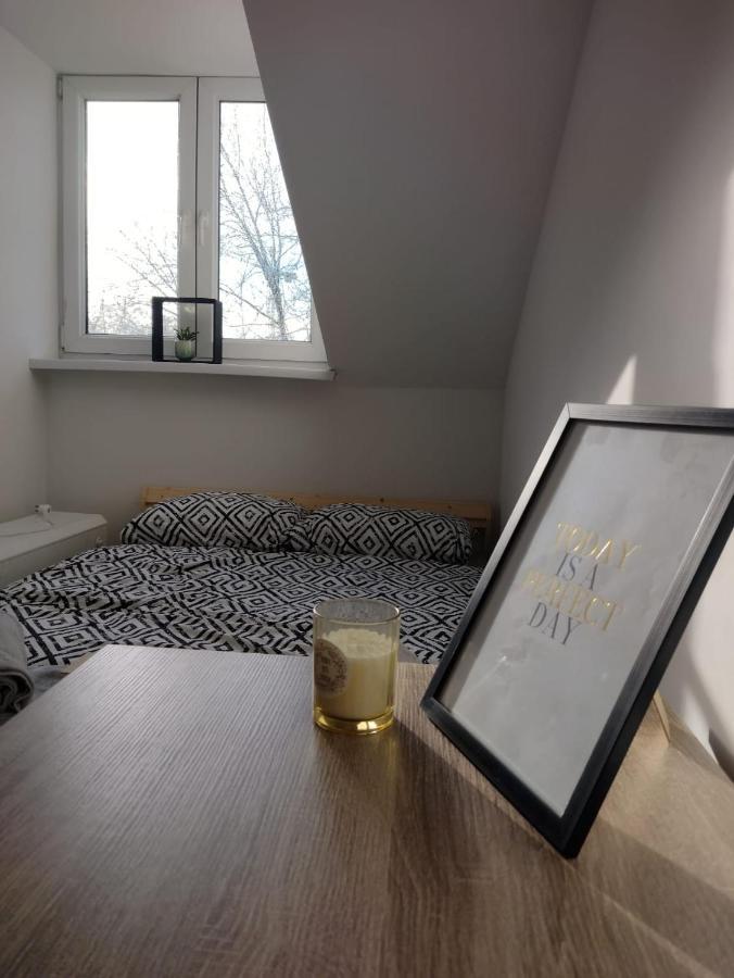 Quiet And Comfy In *
