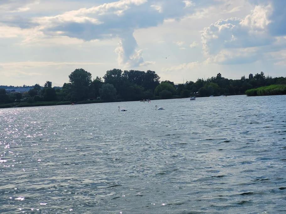 U Oli I Laury * Krakow