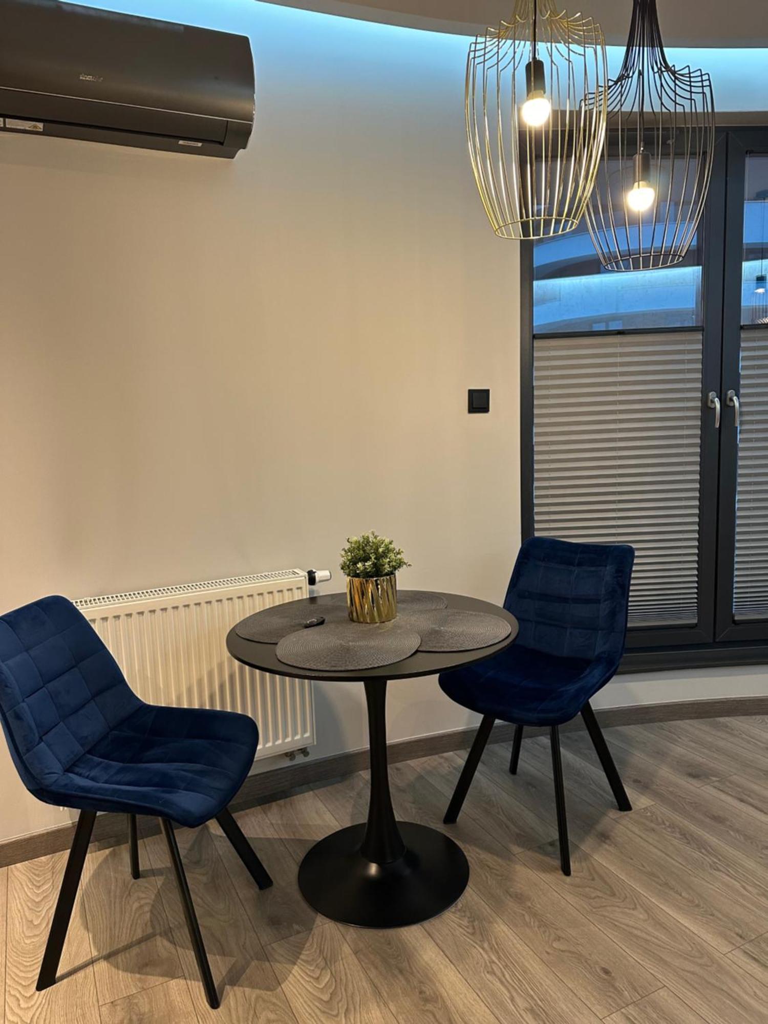 Beautiful And Modern Apartment- Garage- Wislane Tarasy Apartment *