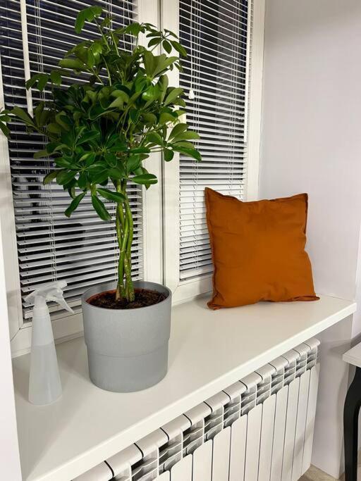Apartament V&o In The Centre Of