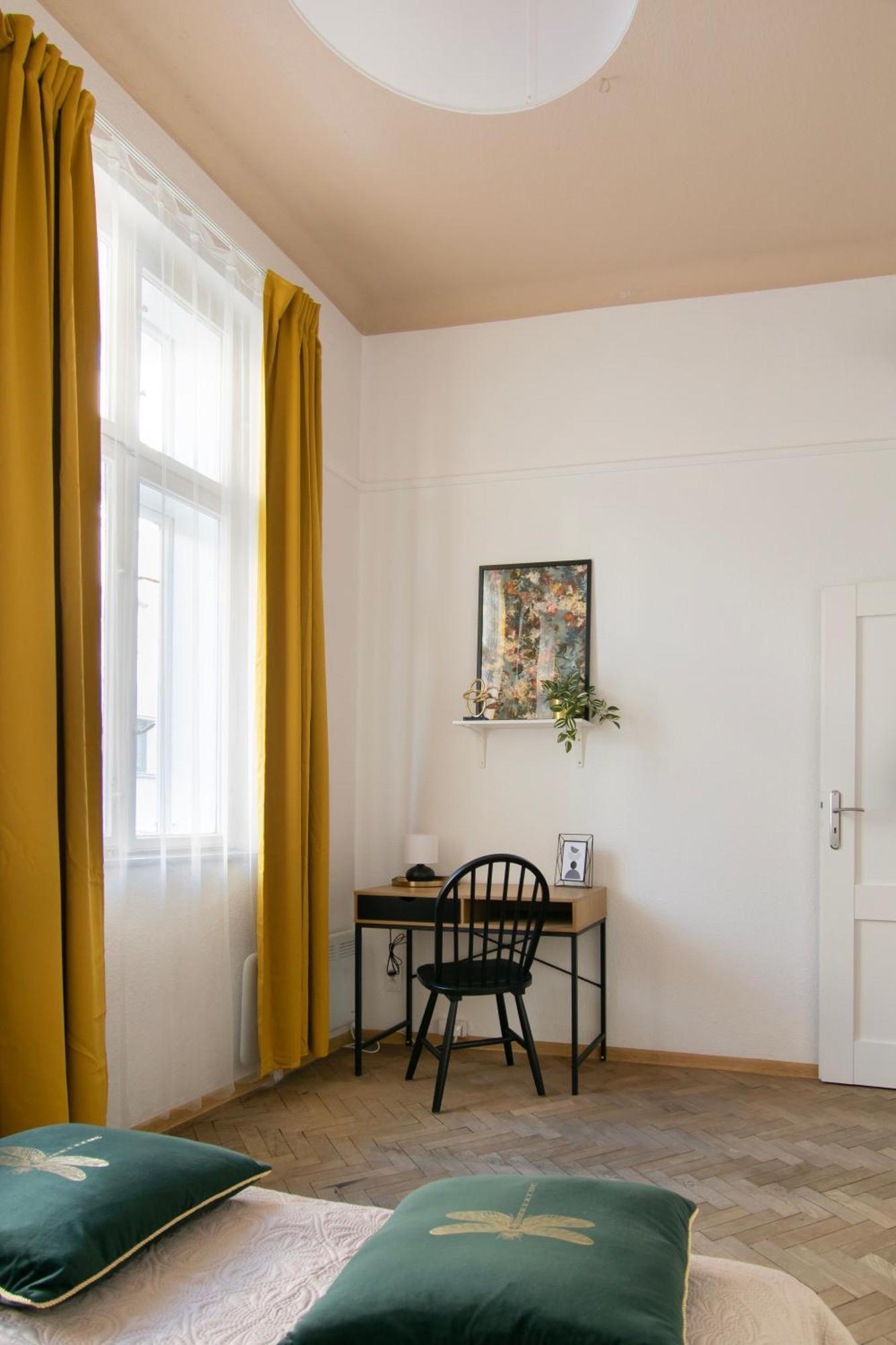Huge Smolensk Street Apartment Krakau