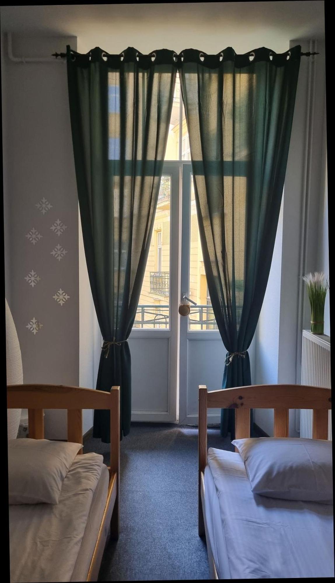 Cat Albergue
